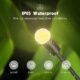 Solar Powered Garden Lights